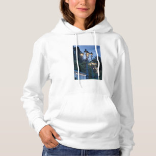 Street lamps at night, Germany Hoodie