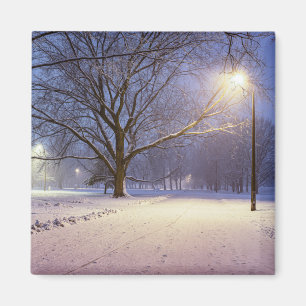 Street lights and covered in snow magnet
