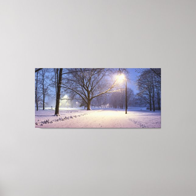 Street lights and covered in snow trees canvas print (Front)