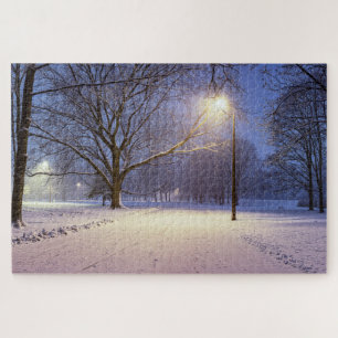 Street lights and covered in snow trees jigsaw puz jigsaw puzzle