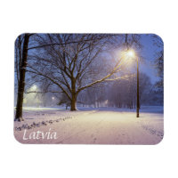 Street lights and covered in snow trees