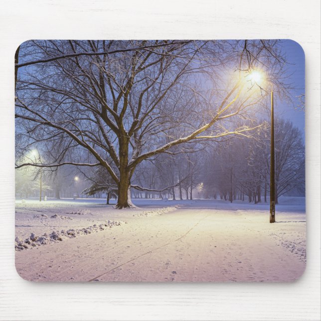 Street lights and covered in snow trees mouse mat (Front)