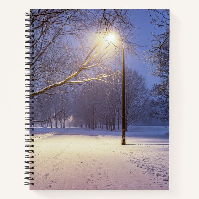 Street lights and covered in snow trees notebook (Front)