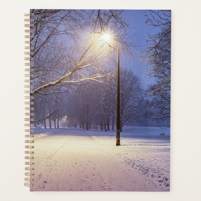 Street lights and covered in snow trees planner (Front)