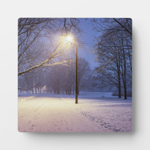 Street lights and covered in snow trees plaque