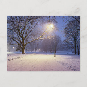 Street lights and covered in snow trees postcard