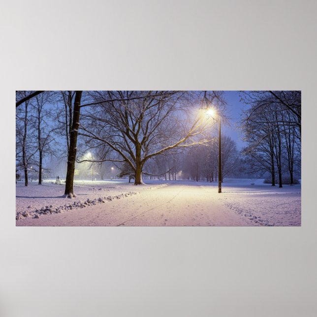 Street lights and covered in snow trees poster (Front)