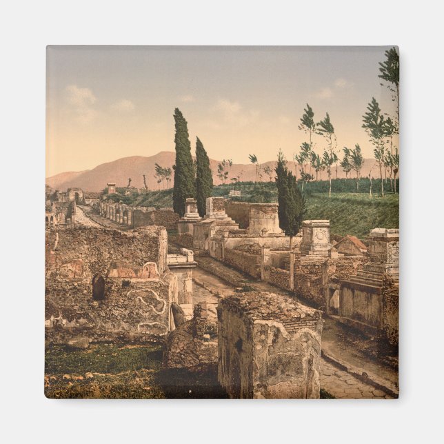 Street of the Tombs, Pompeii, Campania, Italy Magnet (Front)