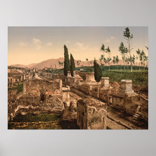 Street of the Tombs, Pompeii, Campania, Italy Poster (Front)