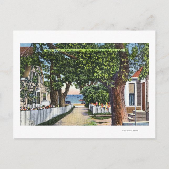 Street Scene of Residences Postcard (Front)