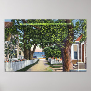 Street Scene of Residences Poster