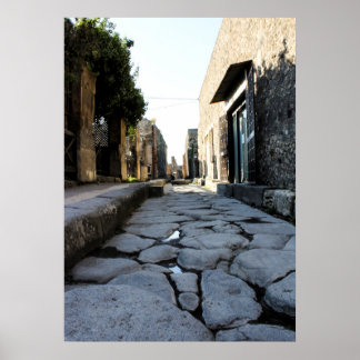 Streets of Pompeii Poster