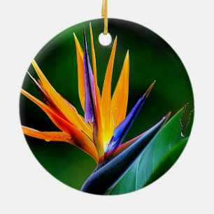 Strelitzia. Bird of paradise flower. Ceramic Tree Decoration