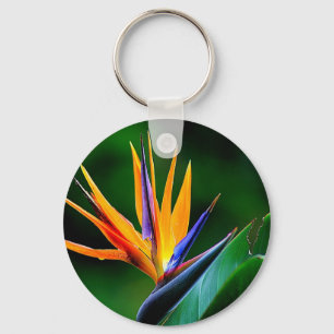Strelitzia. Bird of paradise flower. Key Ring