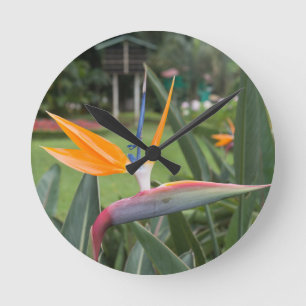 Strelitzia Bird of paradise flower / plant Round Clock