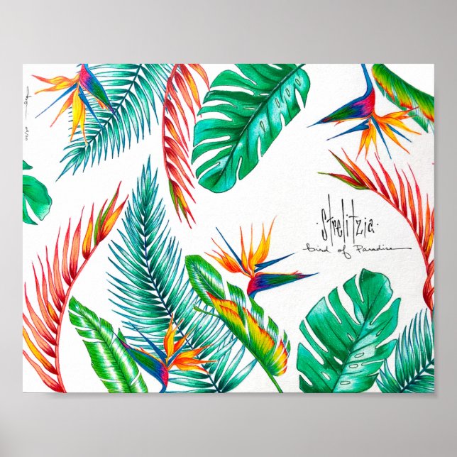 Strelitzia - Bird Of Paradise Poster (Front)