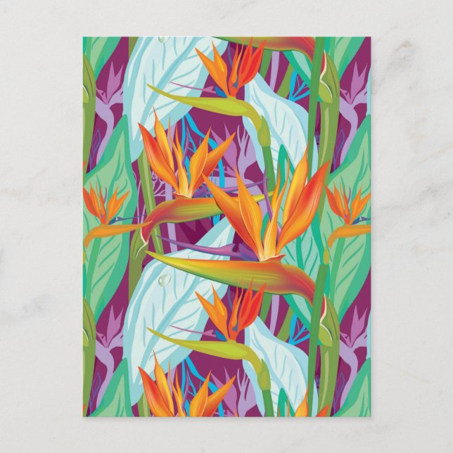 Strelitzia Pattern Postcard (Front)