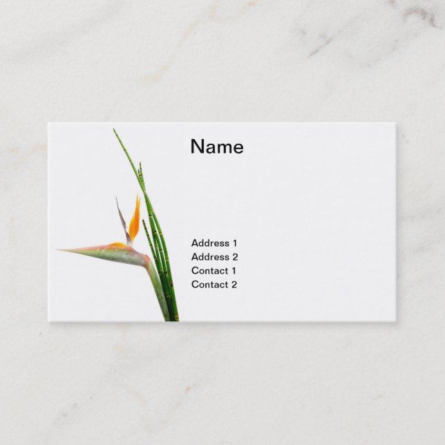 Strelitzia Reginae and reed Business Card (Front)