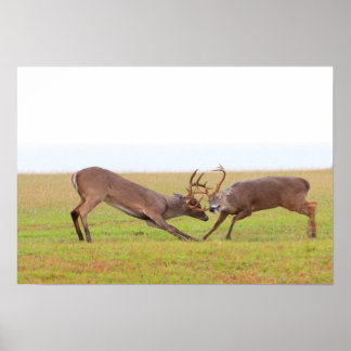 Strength and Grace: The Antler Tango Poster