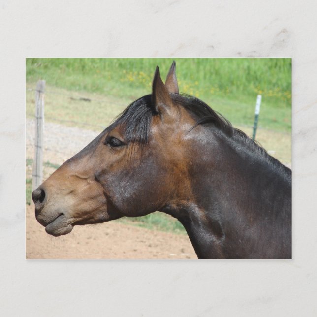 Strength Postcard (Front)