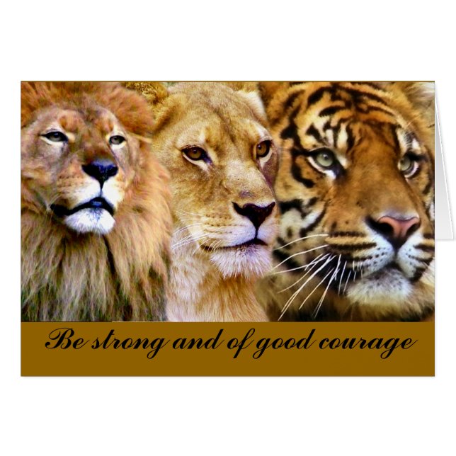 Strength & Power_ (Front Horizontal)