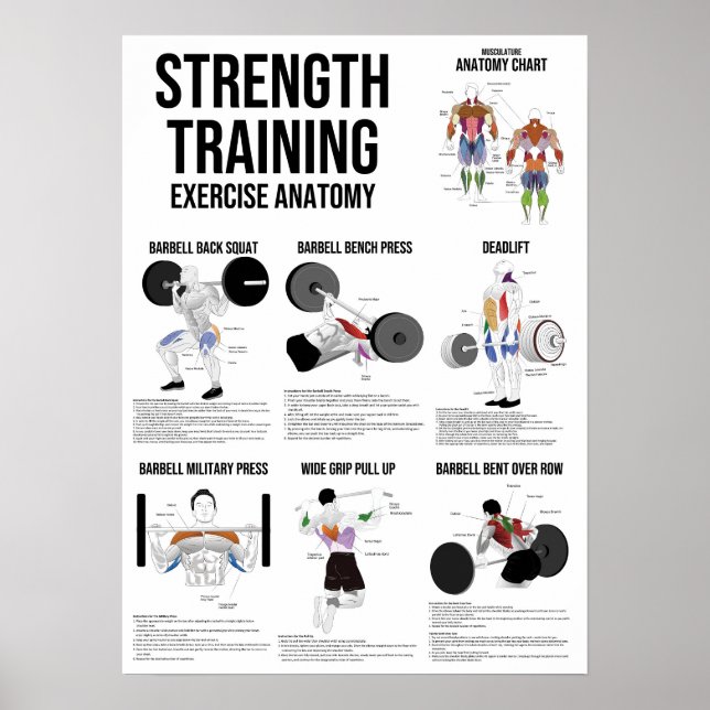 Strength Training Exercise - Muscle Anatomy Chart (Front)