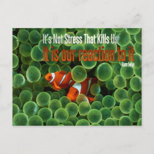 Stress Motivational Postcard