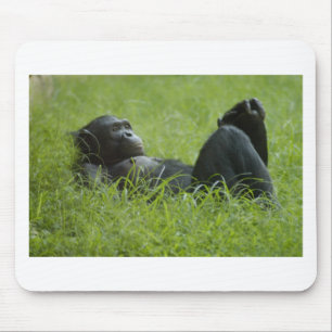 Stress Relief Mouse Mat