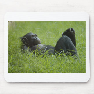 Stress Relief Mouse Mat