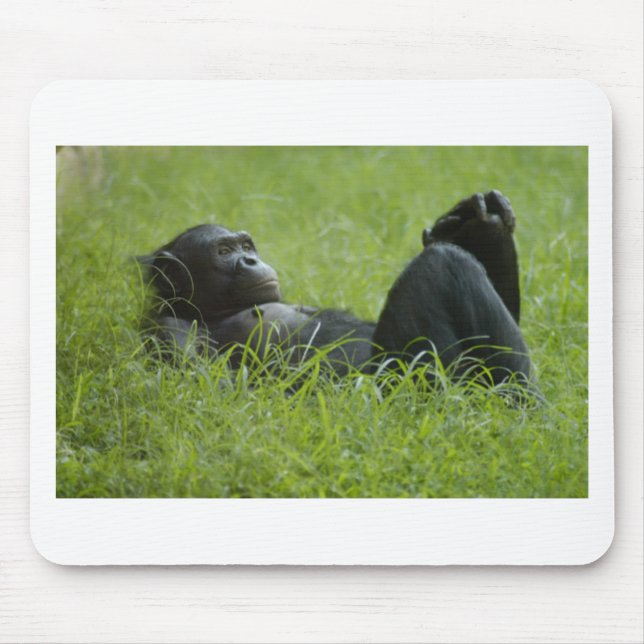 Stress Relief Mouse Mat (Front)