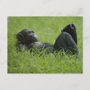 Stress Relief Postcard