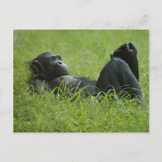 Stress Relief Postcard (Front)