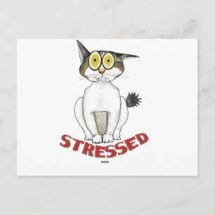 Stressed Out Cat Lucy Postcard