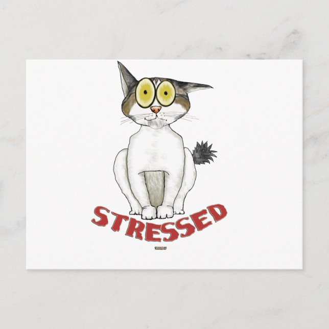 Stressed Out Cat Lucy Postcard (Front)