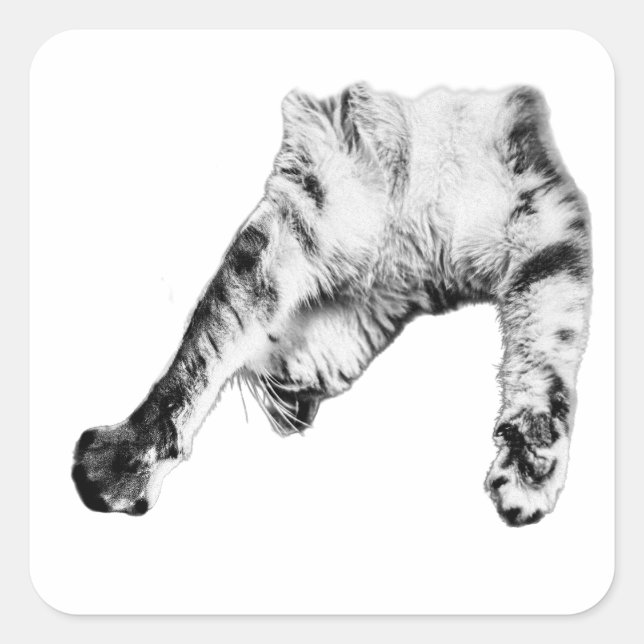 Stretch Life Square Sticker (Front)