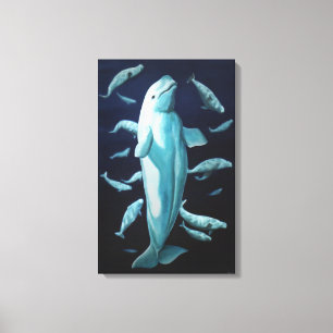 Stretched Canvas Beluga Whales Art Print