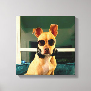 Stretched Canvas Print