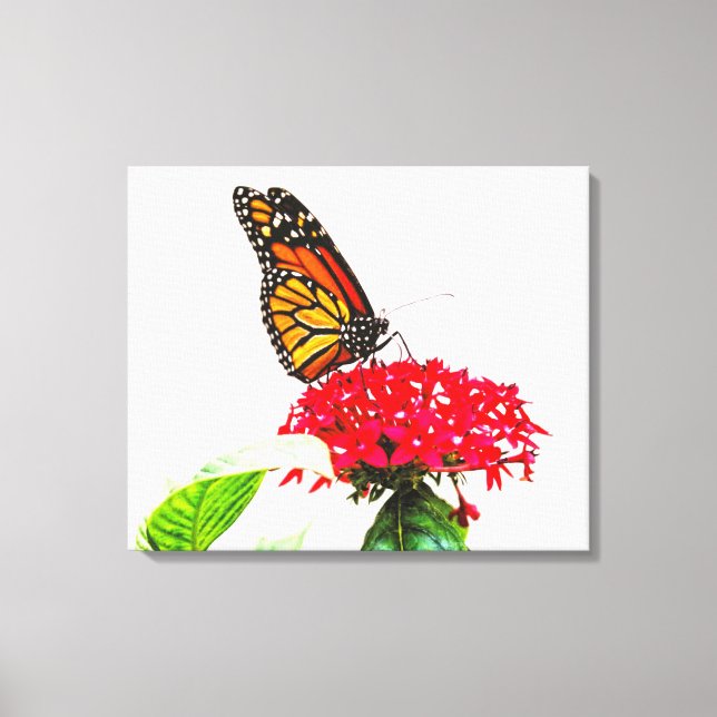 Stretched Canvas Print (Front)
