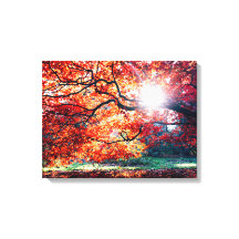 Stretched Canvas Print