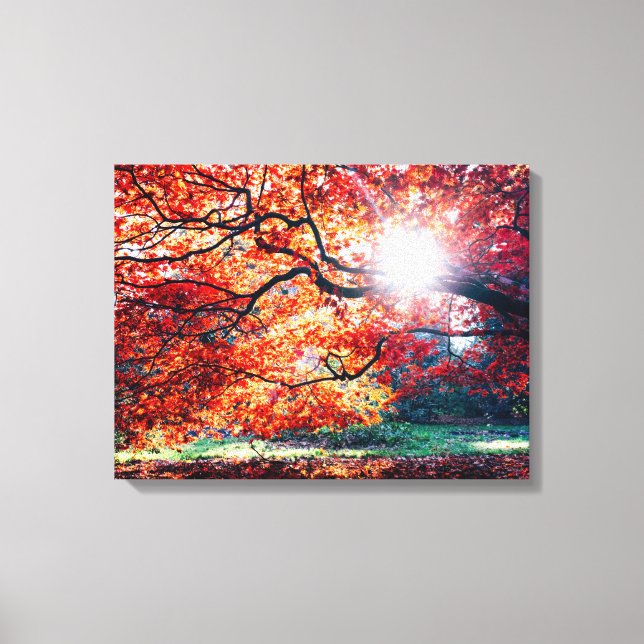Stretched Canvas Print (Front)