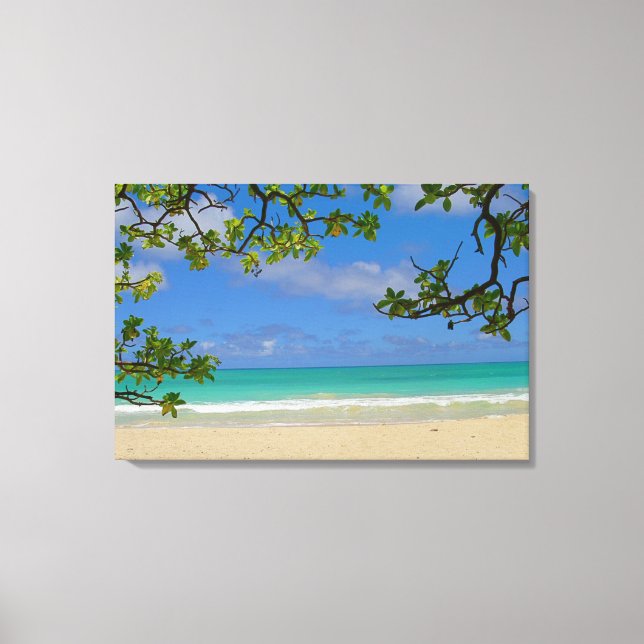 Stretched Canvas Print (Front)