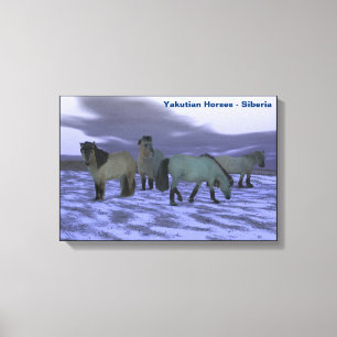 Stretched Canvas Print