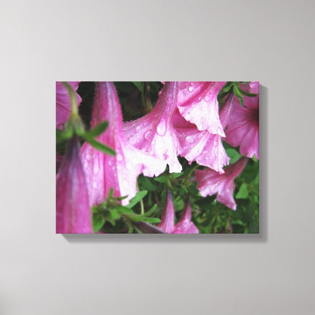 Stretched Canvas Print (Front)