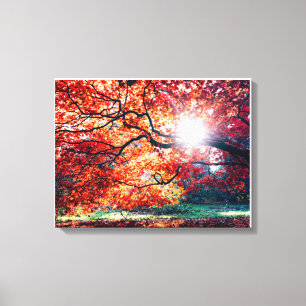 Stretched Canvas Print