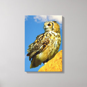 Stretched Canvas Print