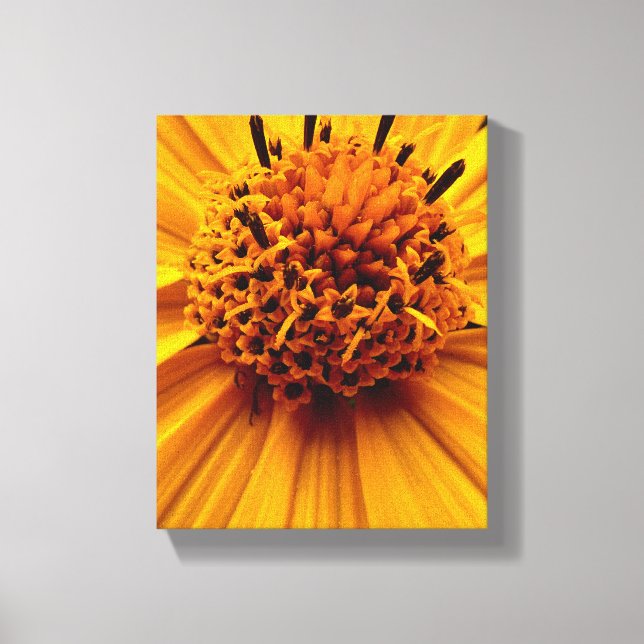 Stretched Canvas Print (Front)