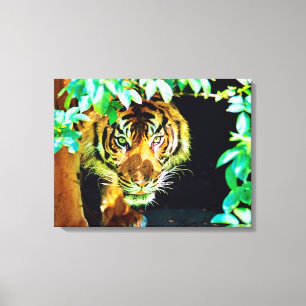 Stretched Canvas Print