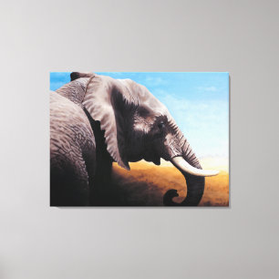 Stretched Canvas Print