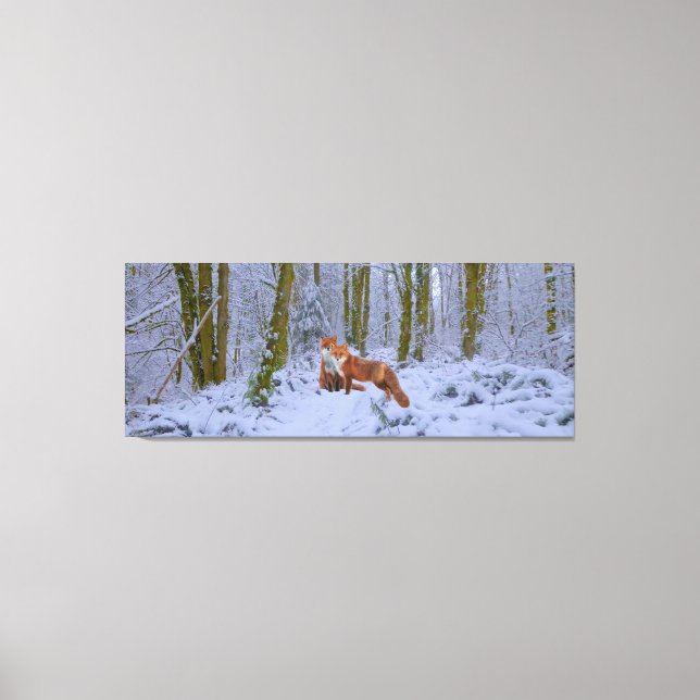 Stretched Canvas Print (Front)