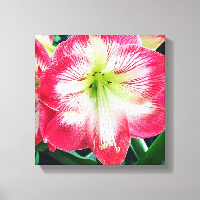 Stretched Canvas Print (Front)